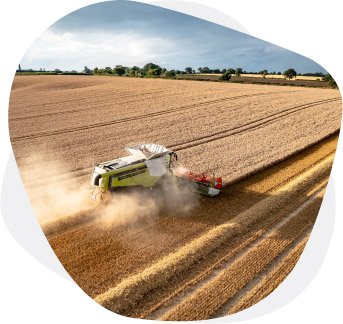 Ministry for Primary Industries (MPI) | Case Studies | B2BE Resources | Supply Chain Management Solutions