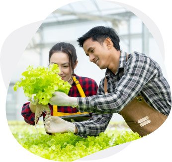 Ministry for Primary Industries (MPI) | Case Studies | B2BE Resources | Supply Chain Management Solutions