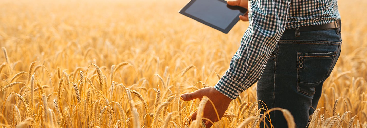 Irrigear Stores | Case Studies | B2BE Resources | Supply Chain Management Solutions