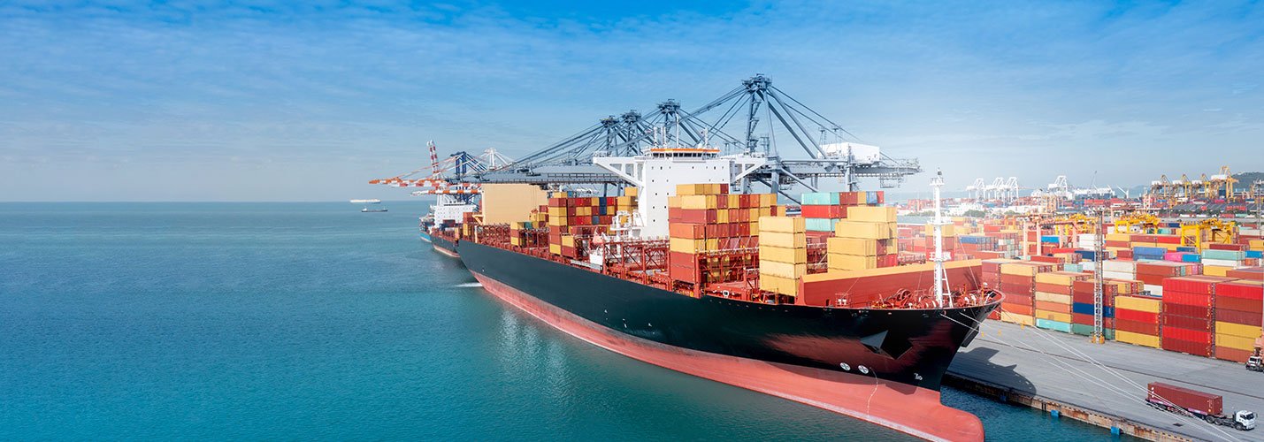 NZ Customs | Case Studies | Supply Chain Management Solutions | B2BE