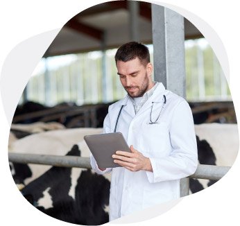 Fonterra | Case Studies | B2BE Resources | Supply Chain Management Solutions
